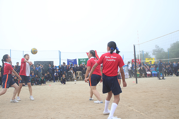 Sports and Games