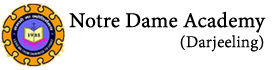 Awesome Logo